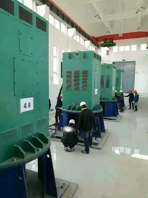 YKK4504-6某污水处理厂使用我厂的立式高压电机安装现场