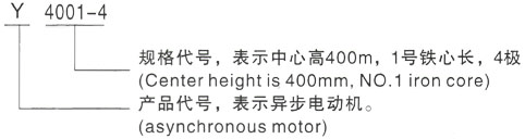 西安泰富西玛Y系列(H355-1000)高压YKK4504-6三相异步电机型号说明