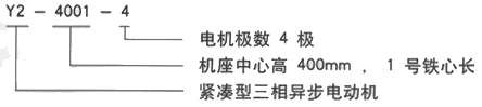 YR系列(H355-1000)高压YKK4504-6三相异步电机西安西玛电机型号说明